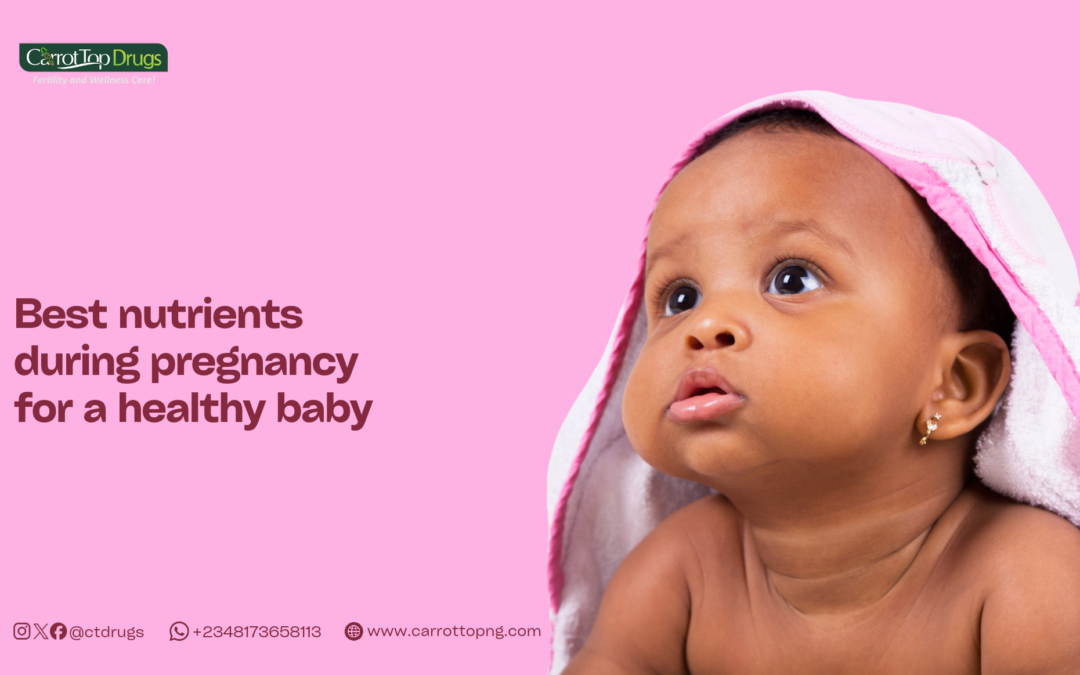 Best Nutrients During Pregnancy for a Healthy Baby.