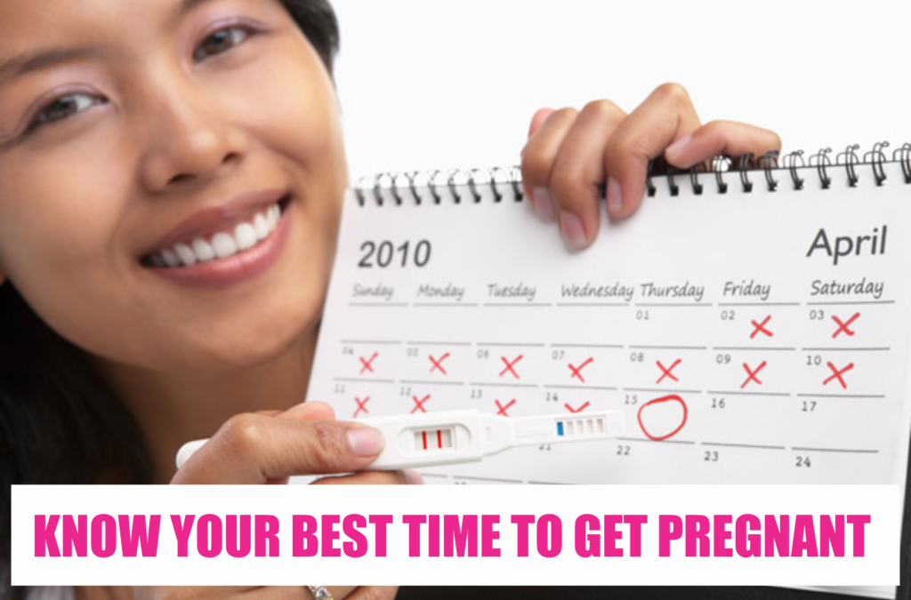 OVULATION CALCULATOR – HOW TO KNOW THE BEST TIME TO CONCEIVE