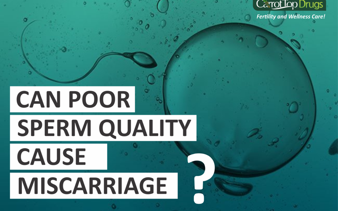 CAN POOR SPERM QUALITY CAUSE MISCARRIAGE?