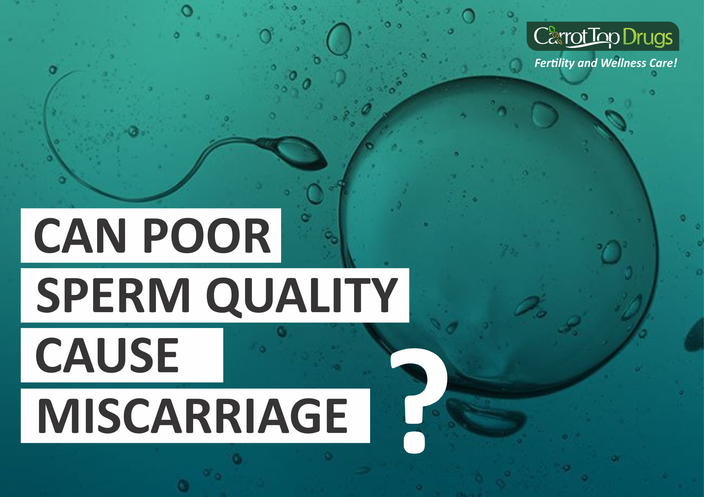 can_poor_sperm_quality_cause_miscarriage?