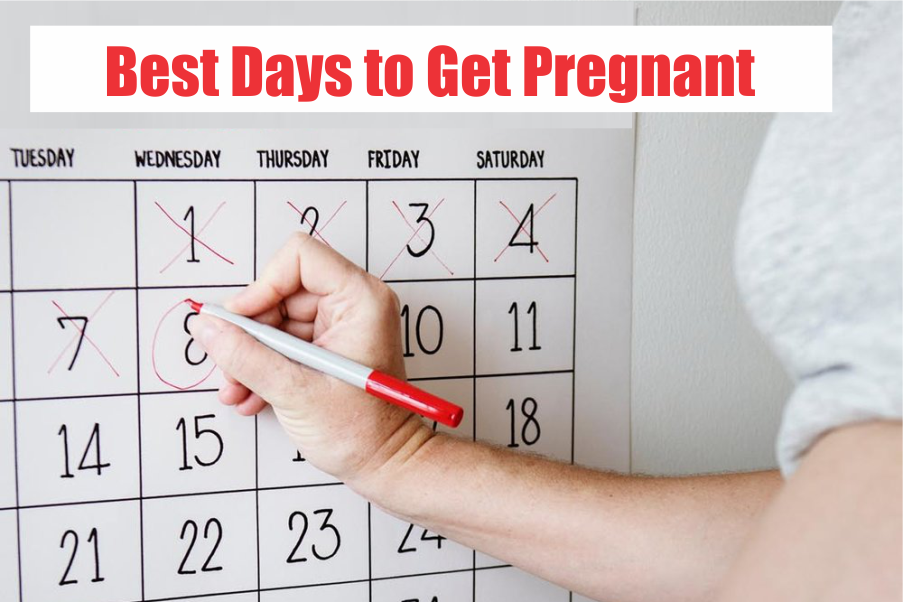 best days to get pregnant