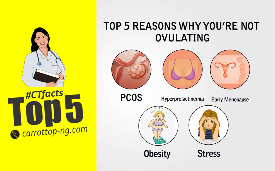 TOP 5 REASONS WHY YOU’RE NOT OVULATING