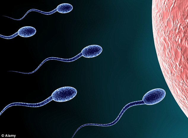 Top 5 causes of low sperm count