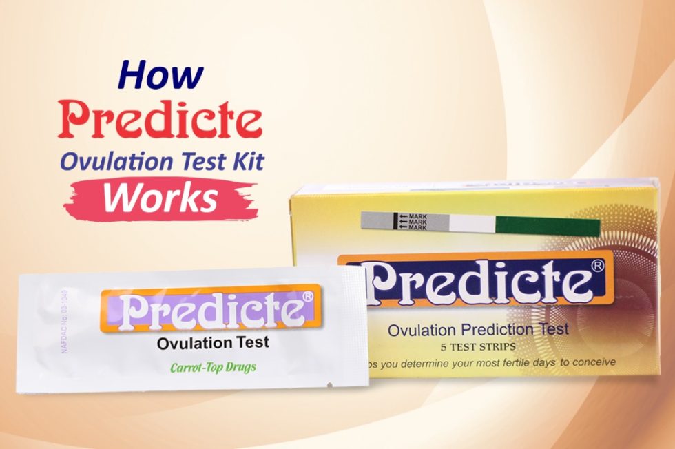 HOW PREDICTE OVULATION TEST KIT WORKS. Carrot Top Drug