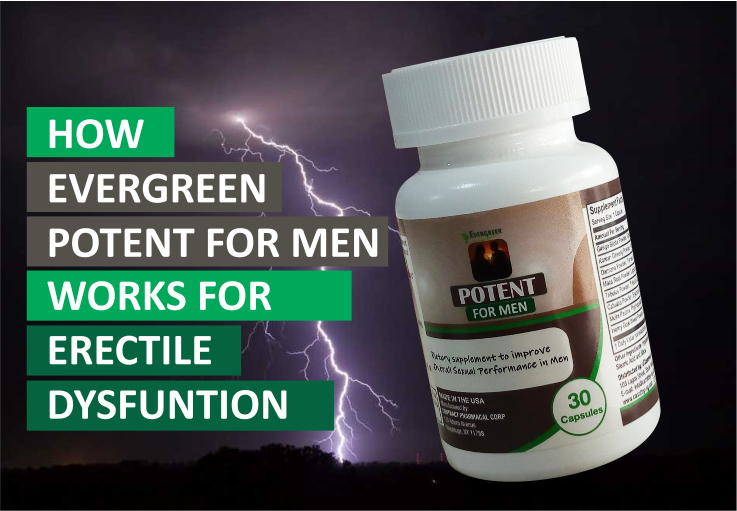 how evergreen potent works for erectile dysfunction