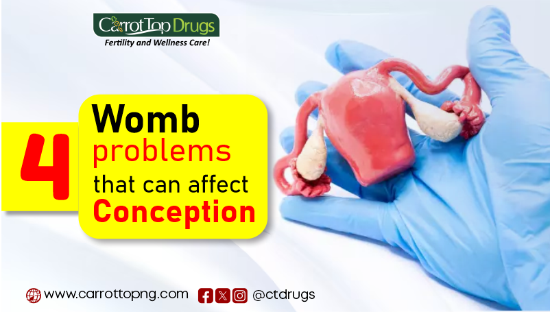 4-womb-problems-that-can-affect-conception
