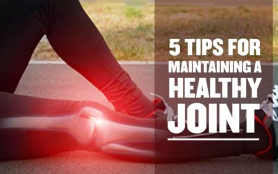 Discover Amazing 10 Tips for Maintaining a Healthy Joint.