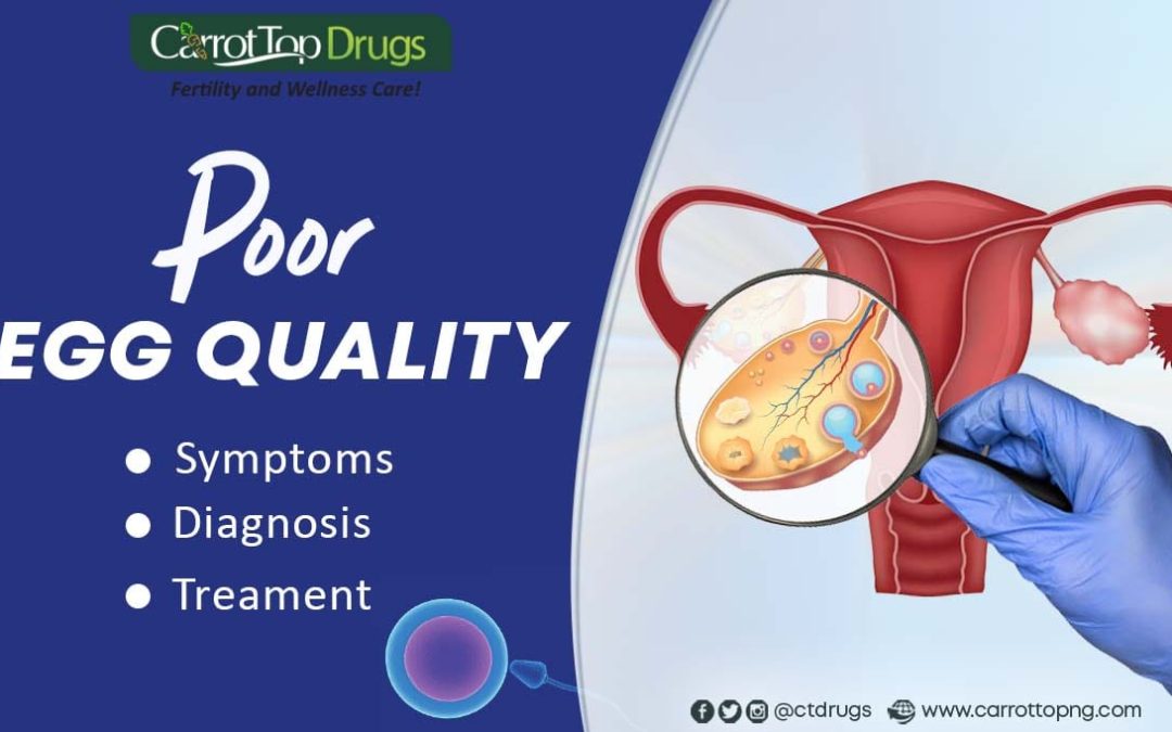 Poor Egg Quality: Symptoms, Diagnosis, and Treatments.