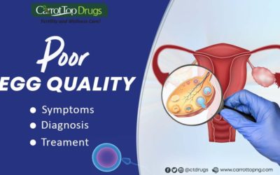 Poor Egg Quality: Symptoms, Diagnosis, and Treatments.