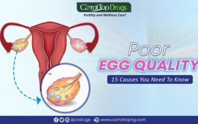 Poor Egg Quality: 15 Causes You Need To Know.