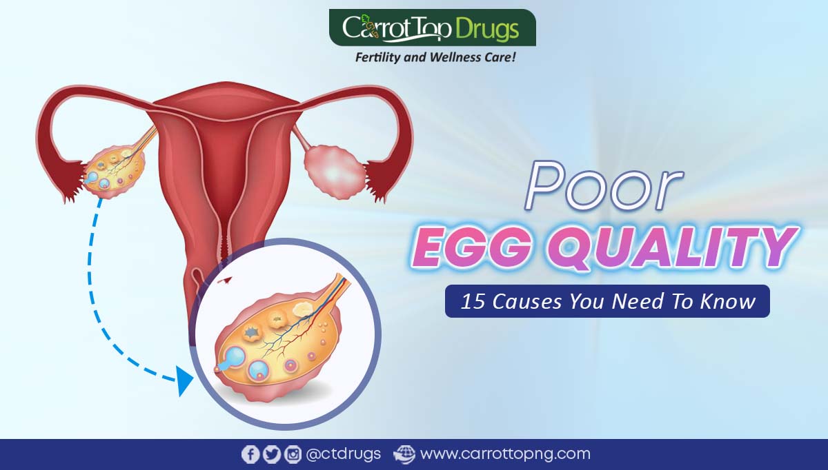poor-egg-quality-15-causes-you-should-know