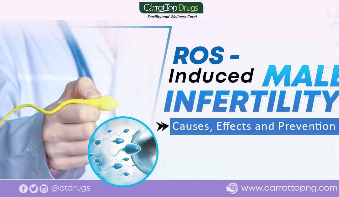 ROS-Induced Male Infertility: Causes, Effects, and Prevention.