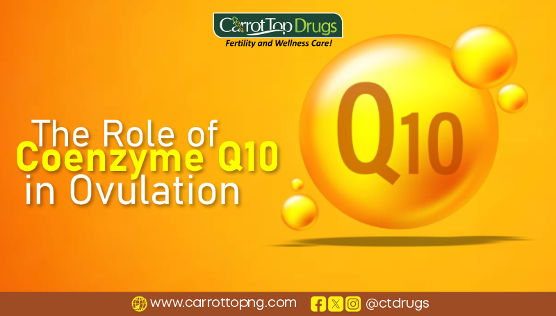 The Role of Coenzyme Q10 in Ovulation