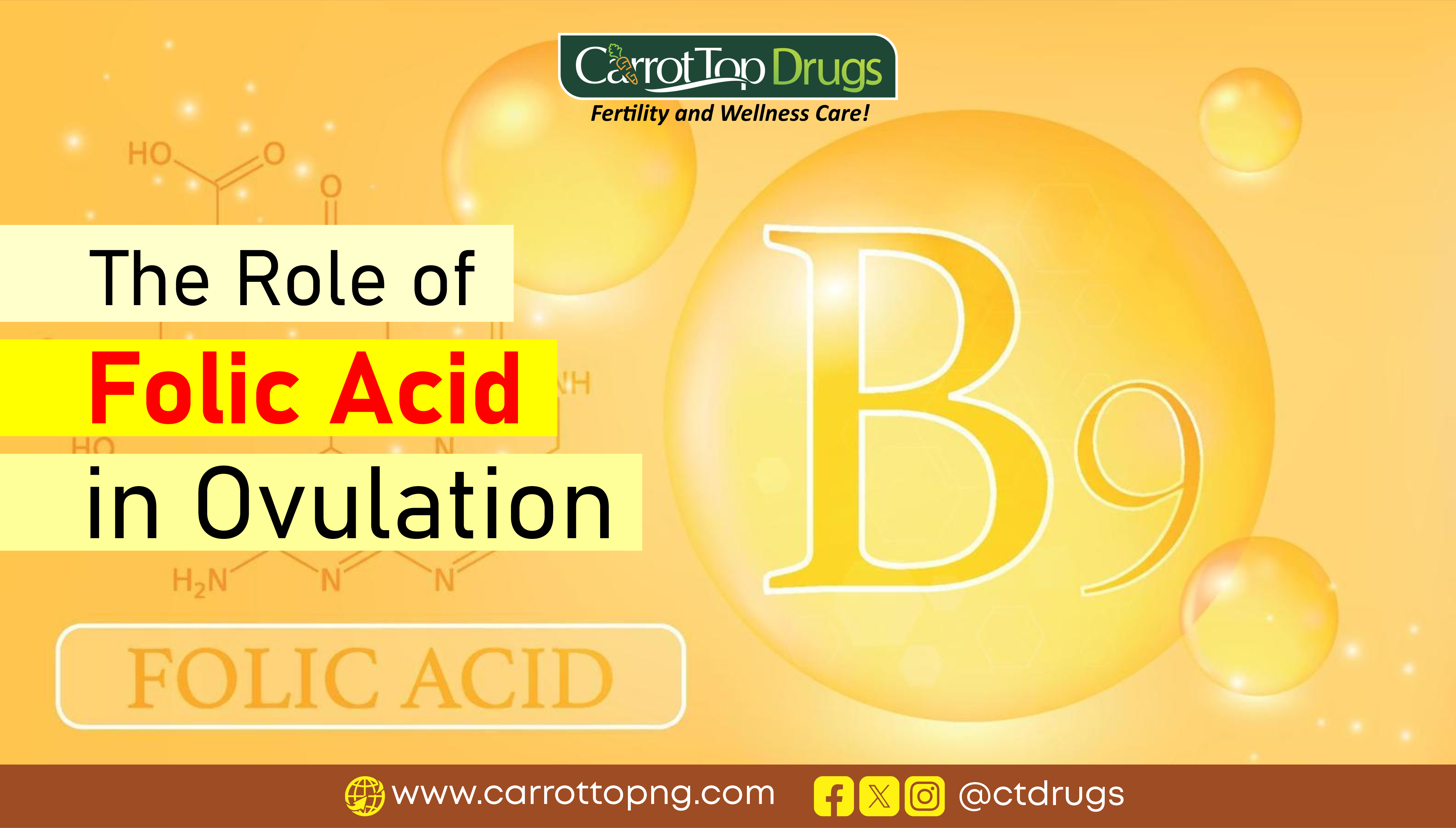 The-Role-of-Folic-Acid-In-Ovulation