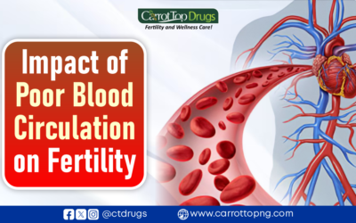 Impact of Poor Blood Circulation on Fertility