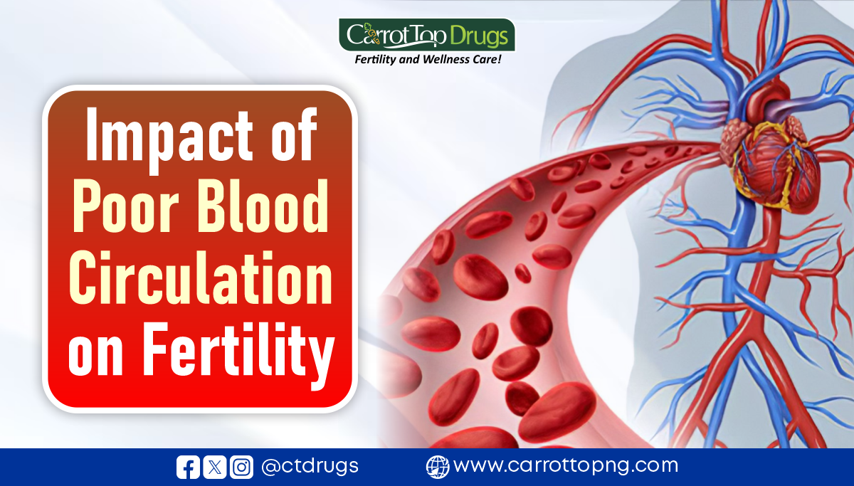 Impact-of-Poor-Blood-Circulation-on-Fertility