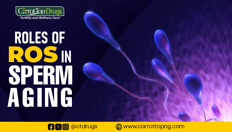 ROLE OF ROS IN SPERM AGING