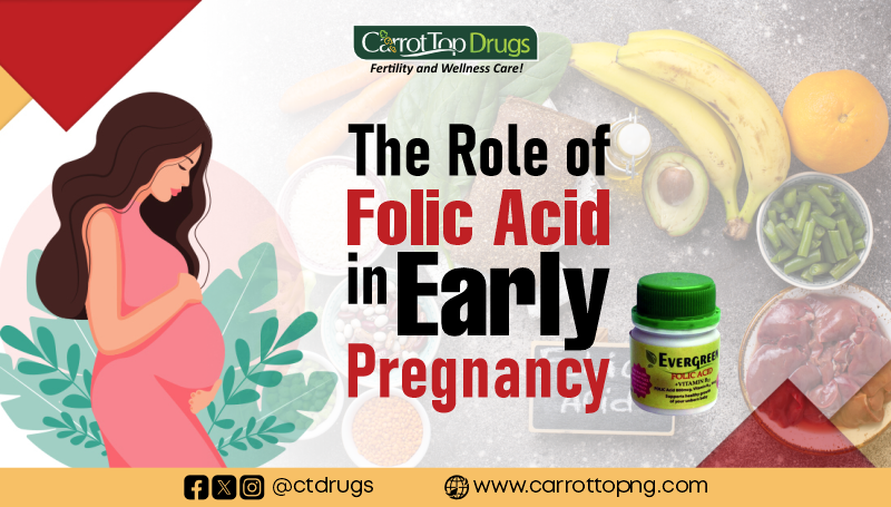 The Role of Folic Acid in Early Pregnancy
