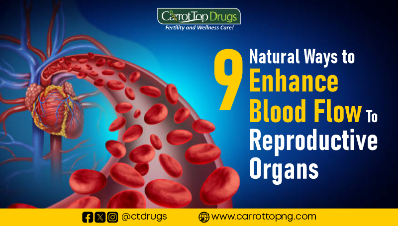 9 Natural Ways to Enhance Blood Flow to Reproductive Organs