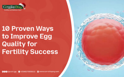 10 Proven Ways to Improve Egg Quality for Fertility Success
