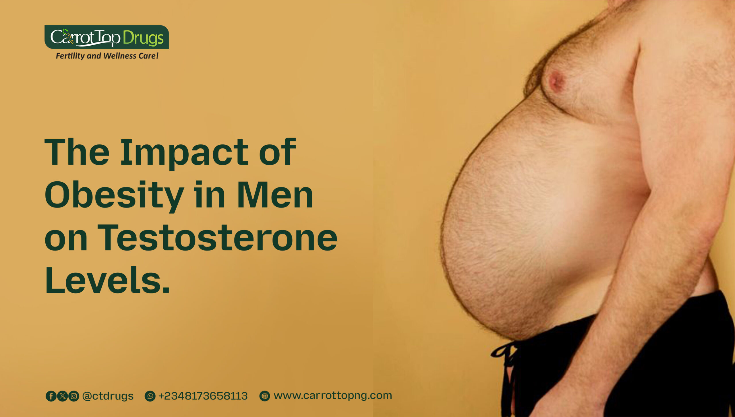 The-Impact-of-obesity-in-men-on-testosterone-levels
