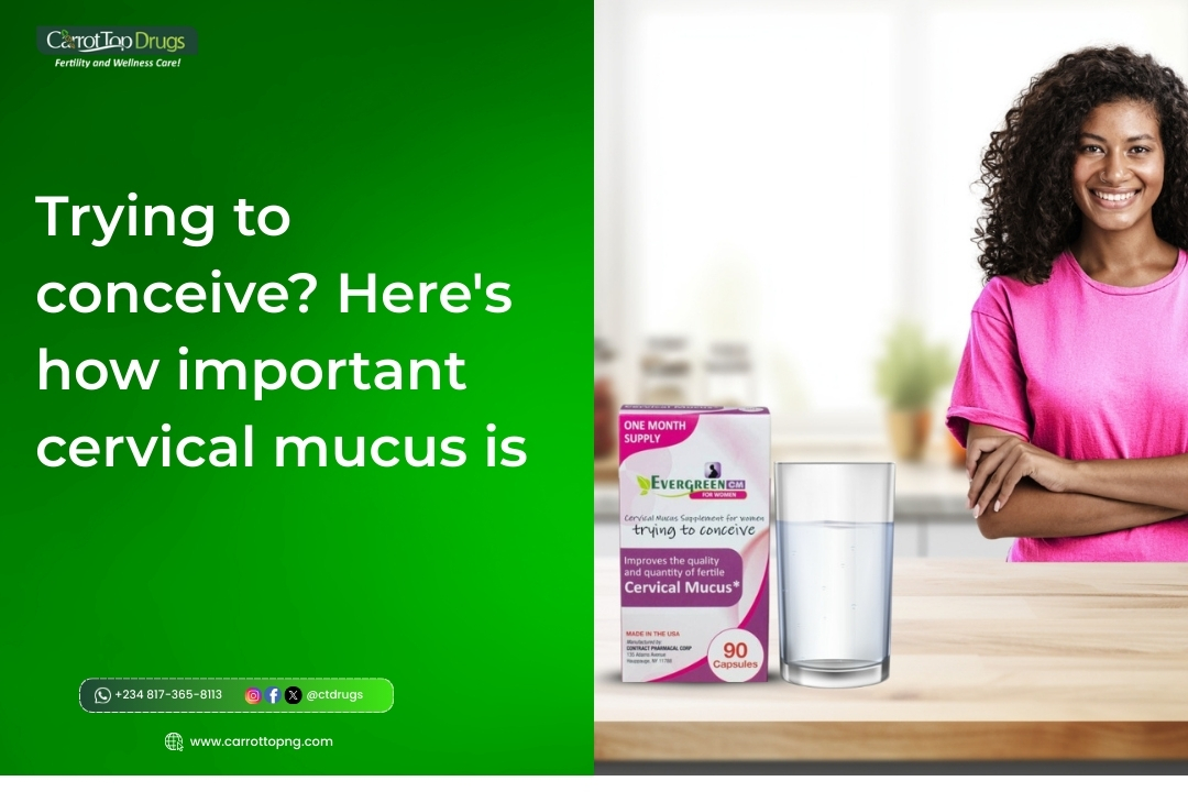 Trying-To-Conciev-Here-Is-How-Important-Cervical-Mucus-Is