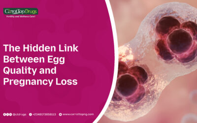 The Hidden Link Between Egg Quality and Pregnancy Loss