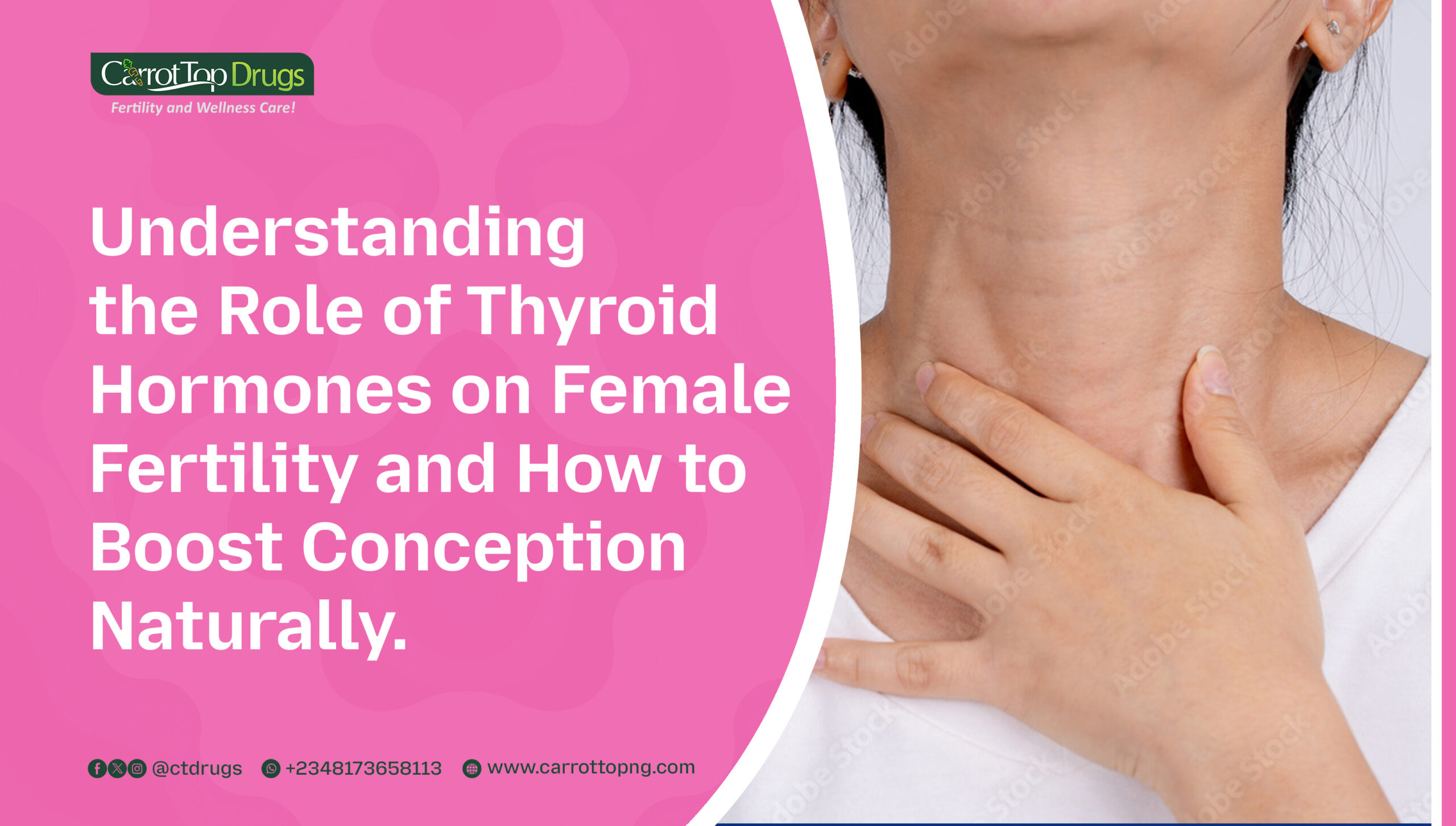 Understanding-the-roles-of-thyroid-hormones-in-fertility