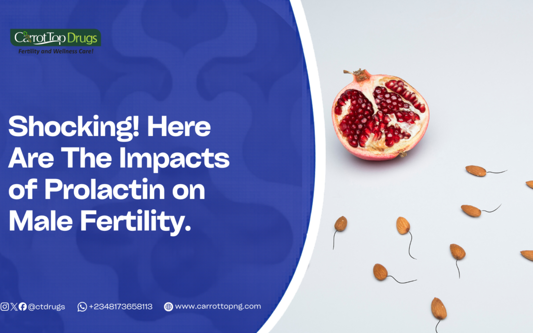 Shocking! Here Are The Impact of Prolactin on Male Fertility.