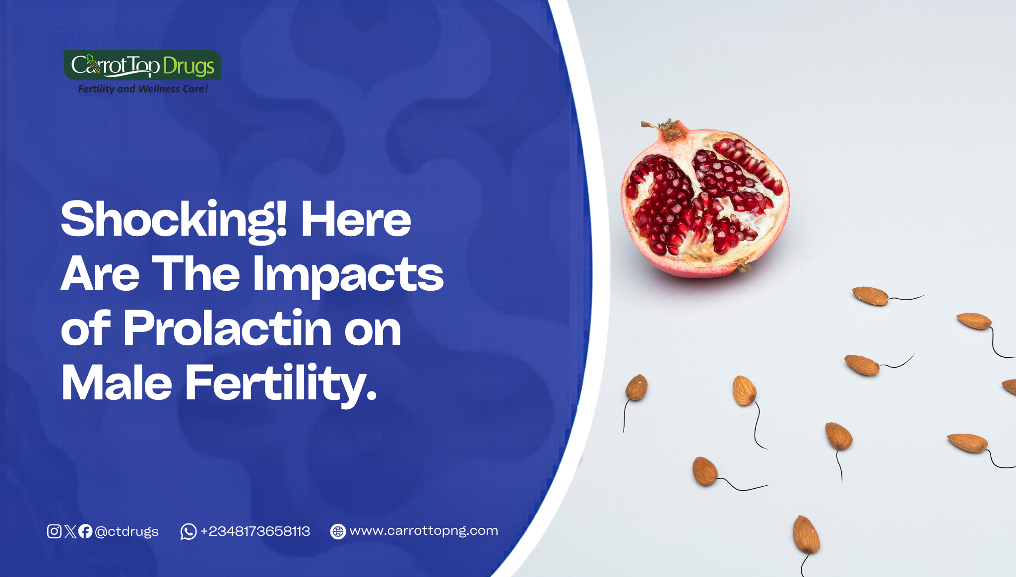 Shocking-Here-Are-The-Impacts-of-Prolactin-on-Male-Fertility