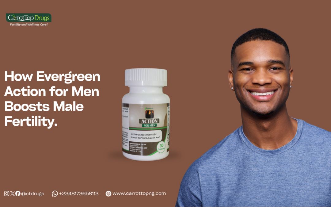 How Evergreen Action for Men Boosts Male Fertility.